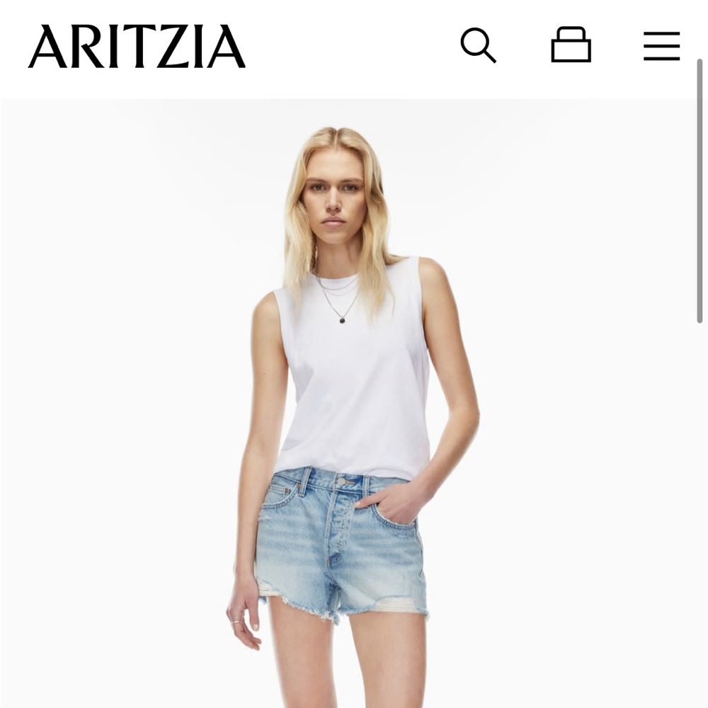 Aritzia ExBoyfriend short